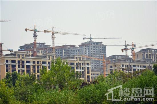 天煜·信园实景图