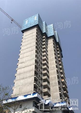 新力东园实景图