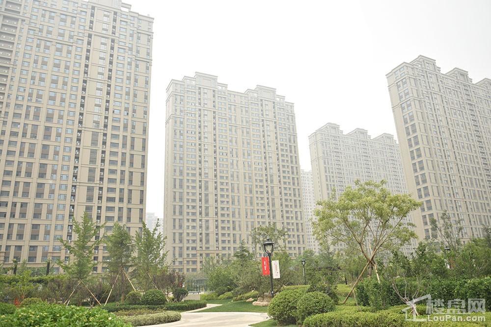 方正·凤凰国际实景图