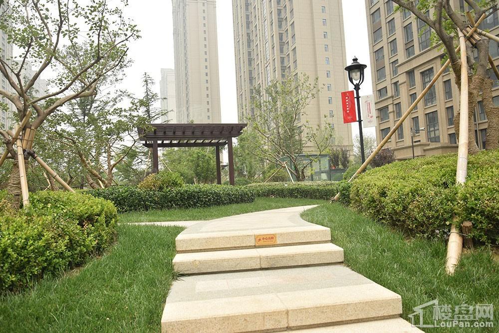 方正·凤凰国际实景图