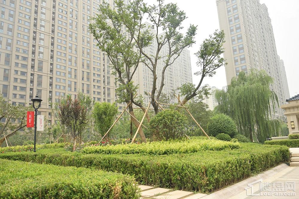 方正·凤凰国际实景图