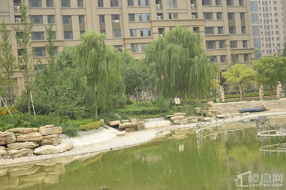 方正·凤凰国际实景图