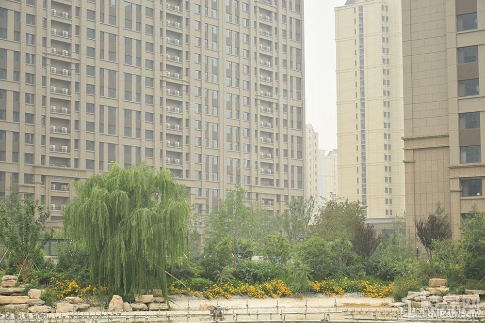 方正·凤凰国际实景图