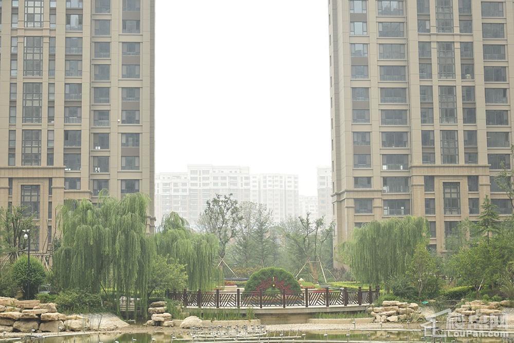 方正·凤凰国际实景图