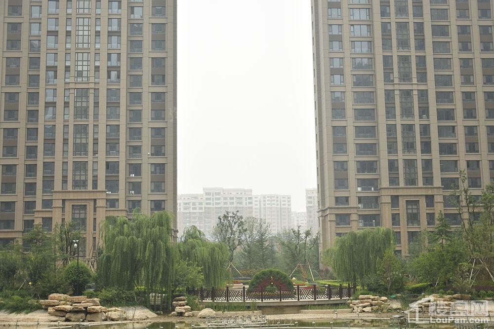 方正·凤凰国际实景图