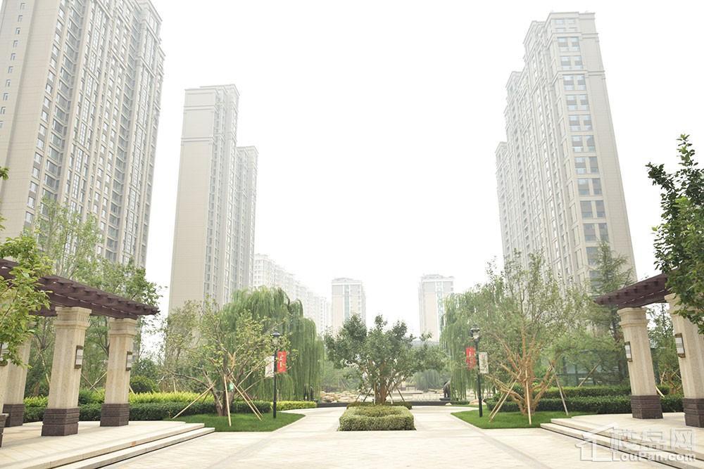 方正·凤凰国际实景图