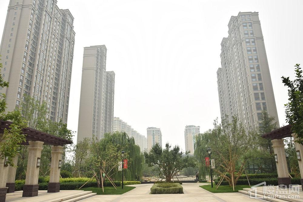 方正·凤凰国际实景图