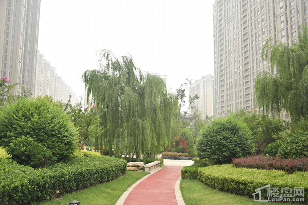 方正·凤凰国际实景图