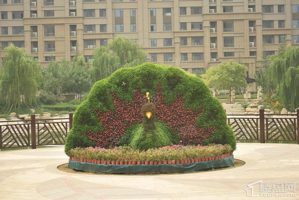 方正·凤凰国际实景图