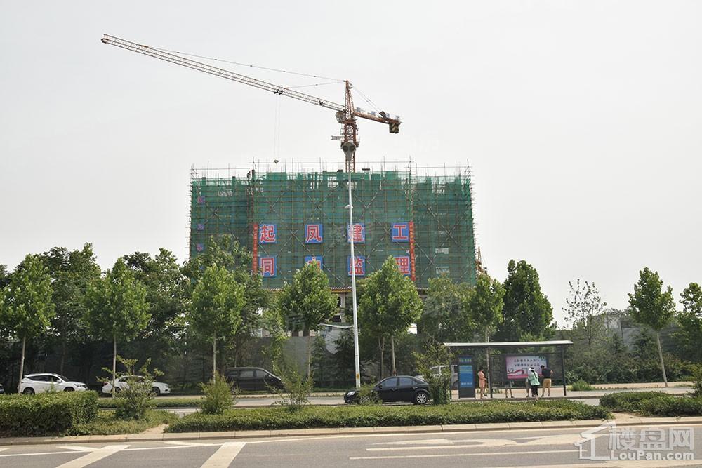 鸿泰·花漾城三期实景图