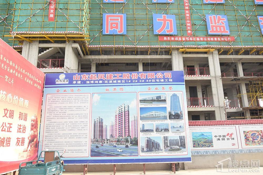 鸿泰·花漾城三期实景图