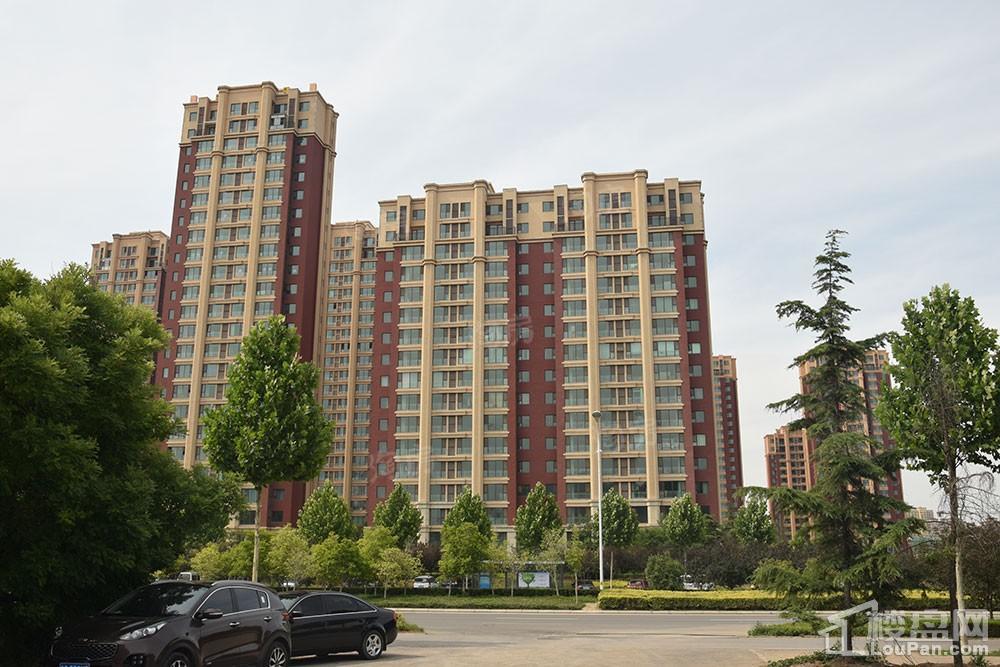 鸿泰·花漾城三期实景图