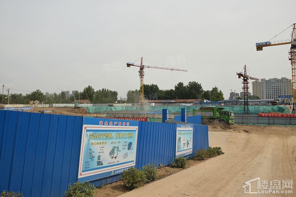 鸿泰·花漾城三期实景图