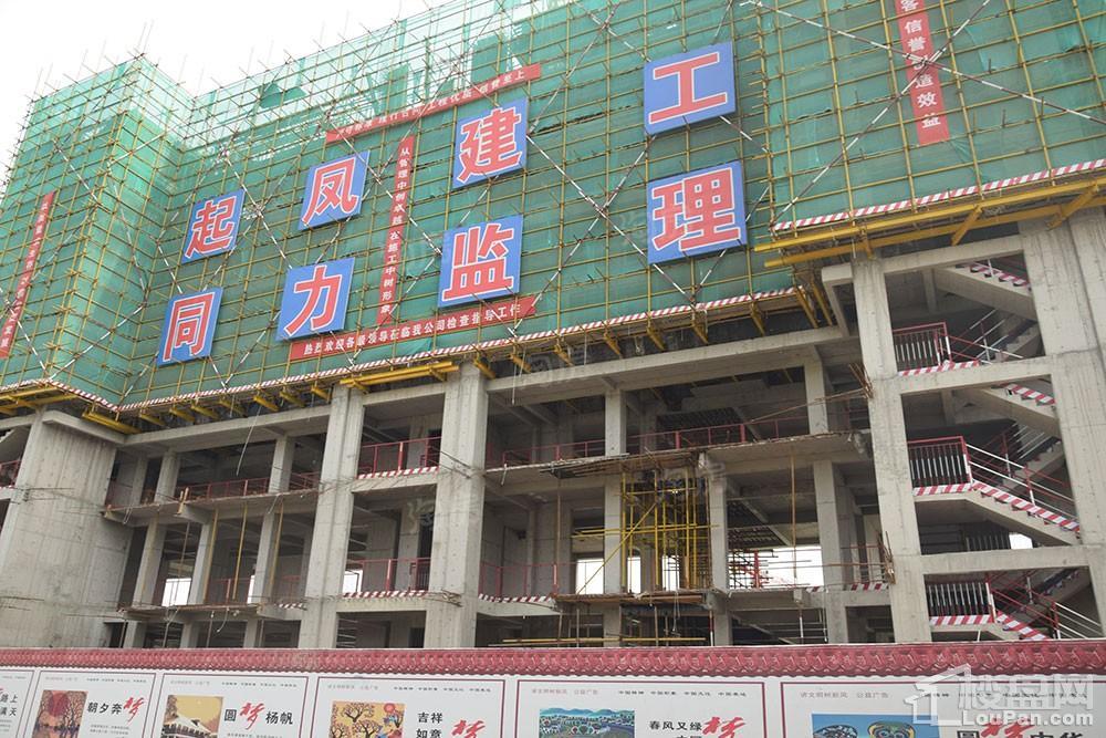 鸿泰·花漾城三期实景图