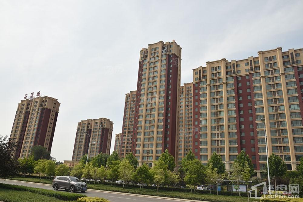 鸿泰·花漾城三期实景图