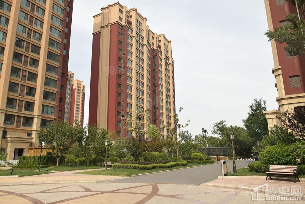 鸿泰·花漾城三期实景图