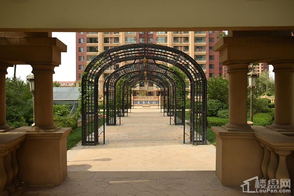 鸿泰·花漾城三期实景图