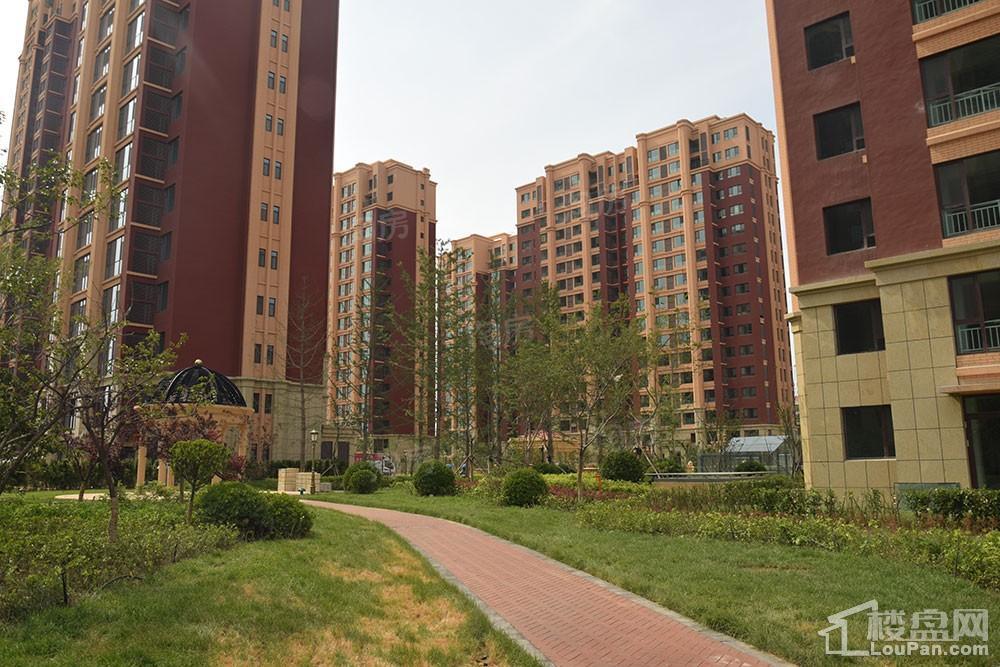 鸿泰·花漾城三期实景图