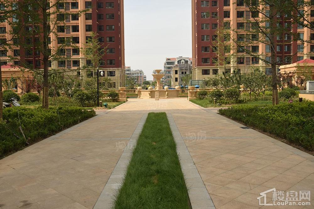 鸿泰·花漾城三期实景图