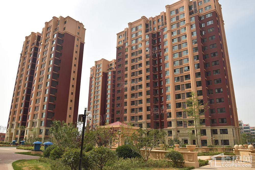 鸿泰·花漾城三期实景图