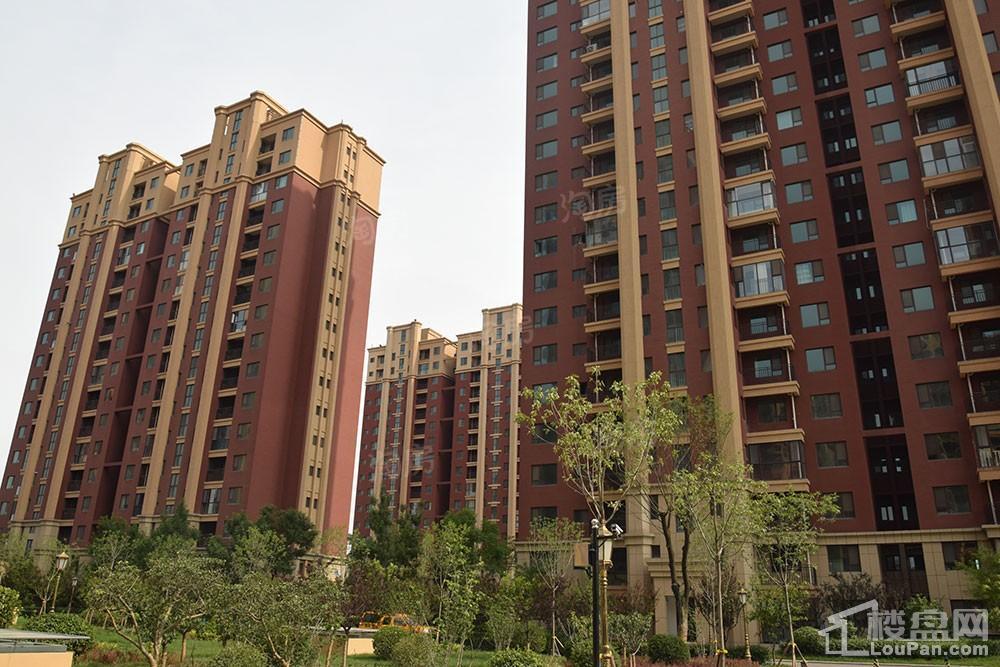 鸿泰·花漾城三期实景图