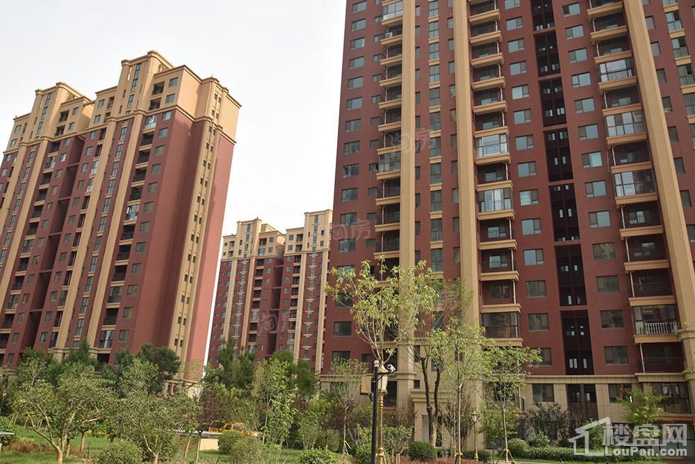 鸿泰·花漾城三期实景图