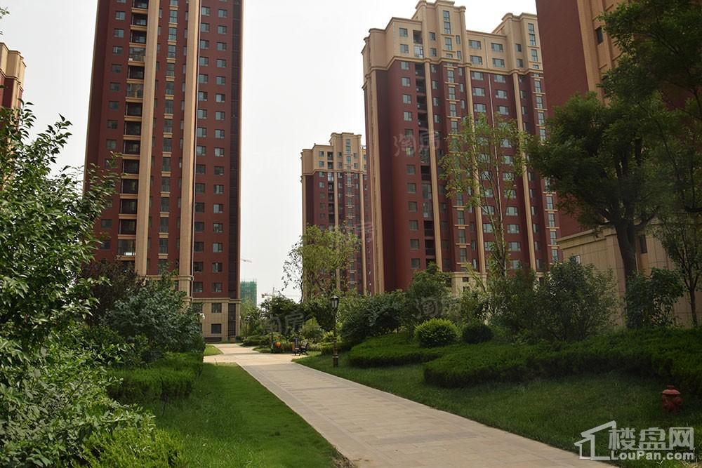 鸿泰·花漾城三期实景图