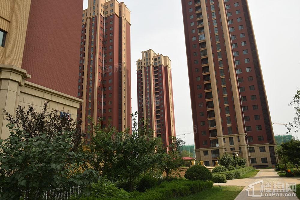 鸿泰·花漾城三期实景图