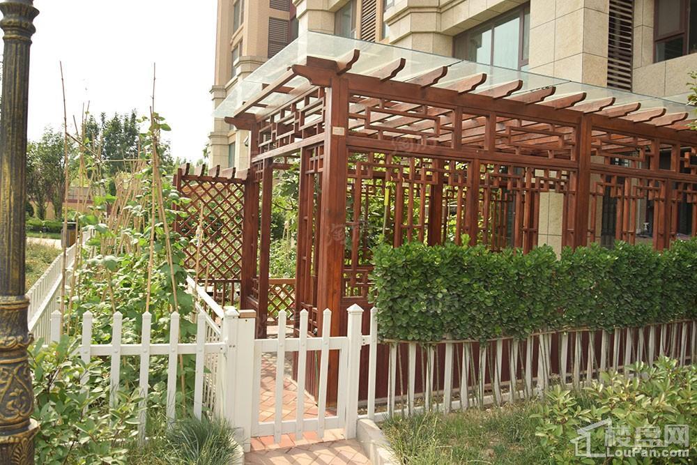 鸿泰·花漾城三期实景图