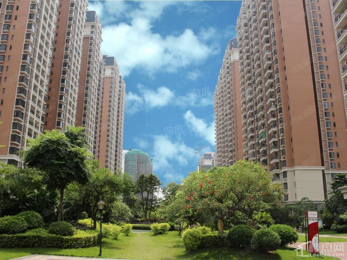 尚东阳光实景图