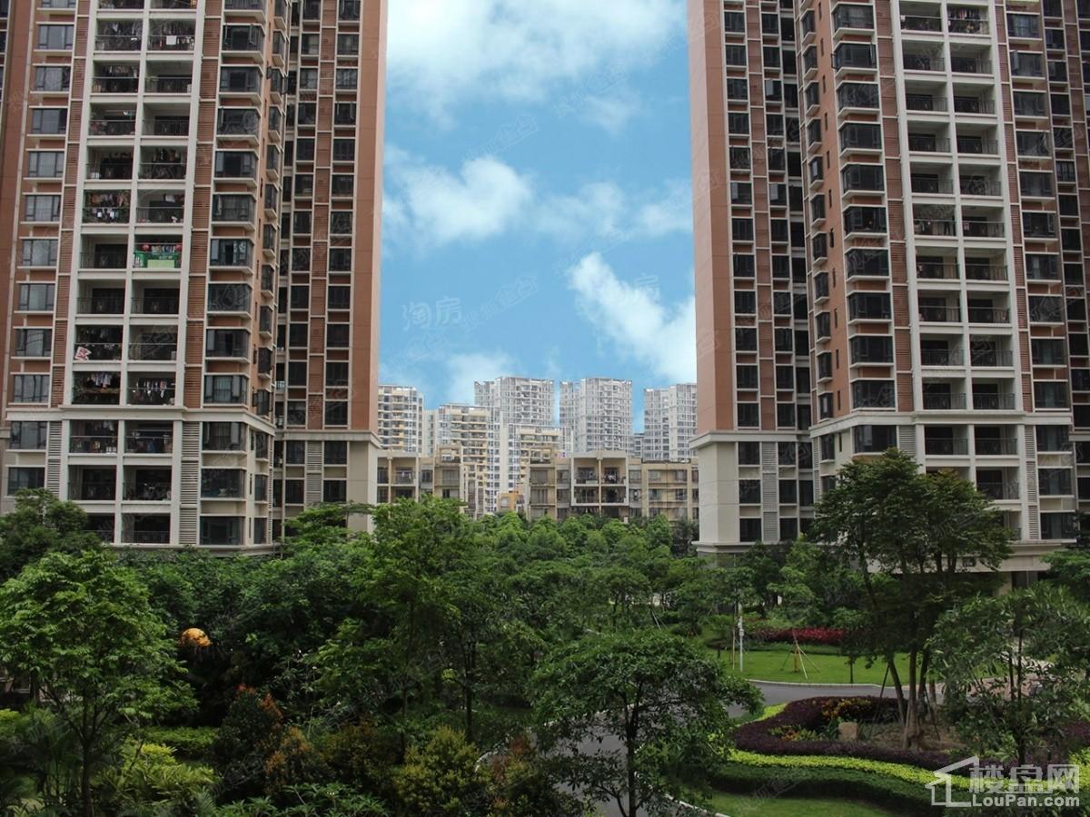 尚东阳光实景图