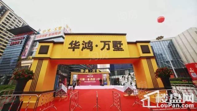 华鸿·万墅实景图