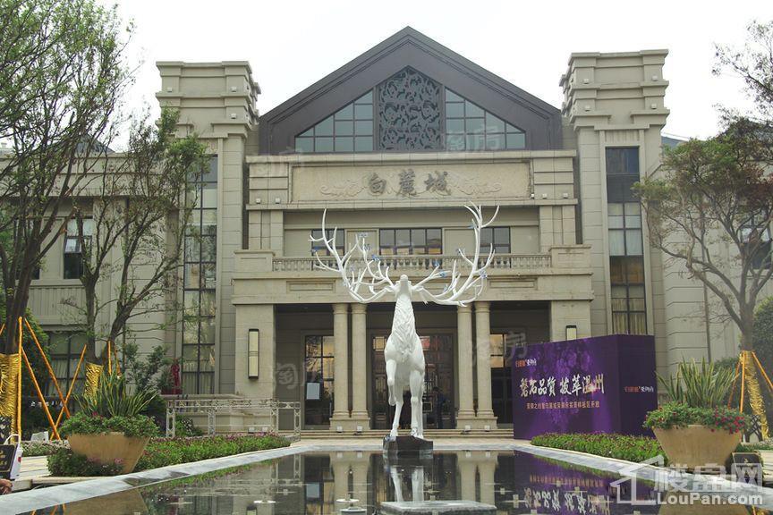 新希望·白麓城实景图