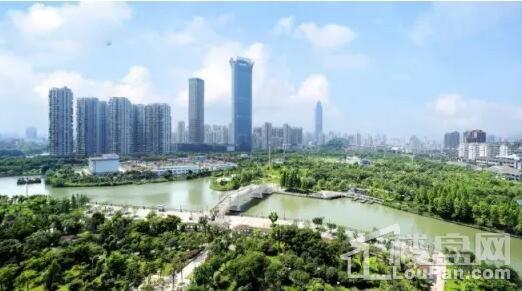 实景图