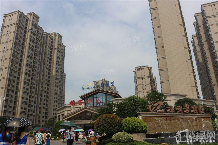 碧桂园德信·府前1号实景图