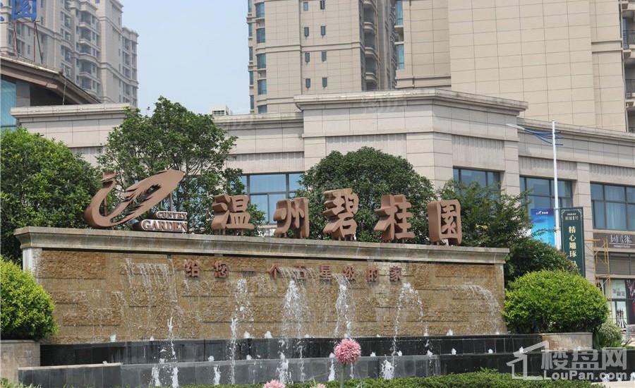 碧桂园德信·府前1号实景图