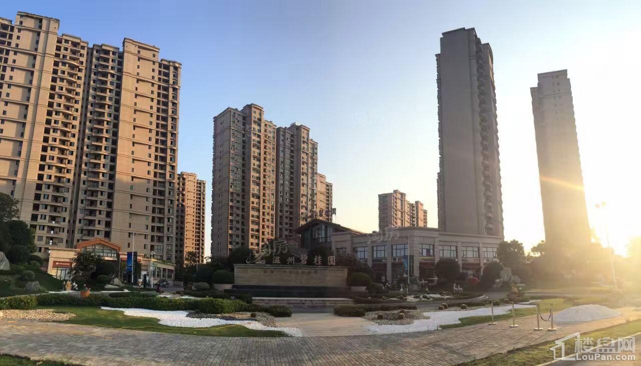 碧桂园德信·府前1号实景图