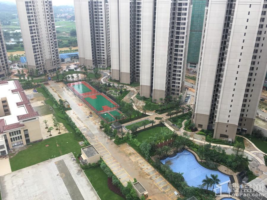 实景图