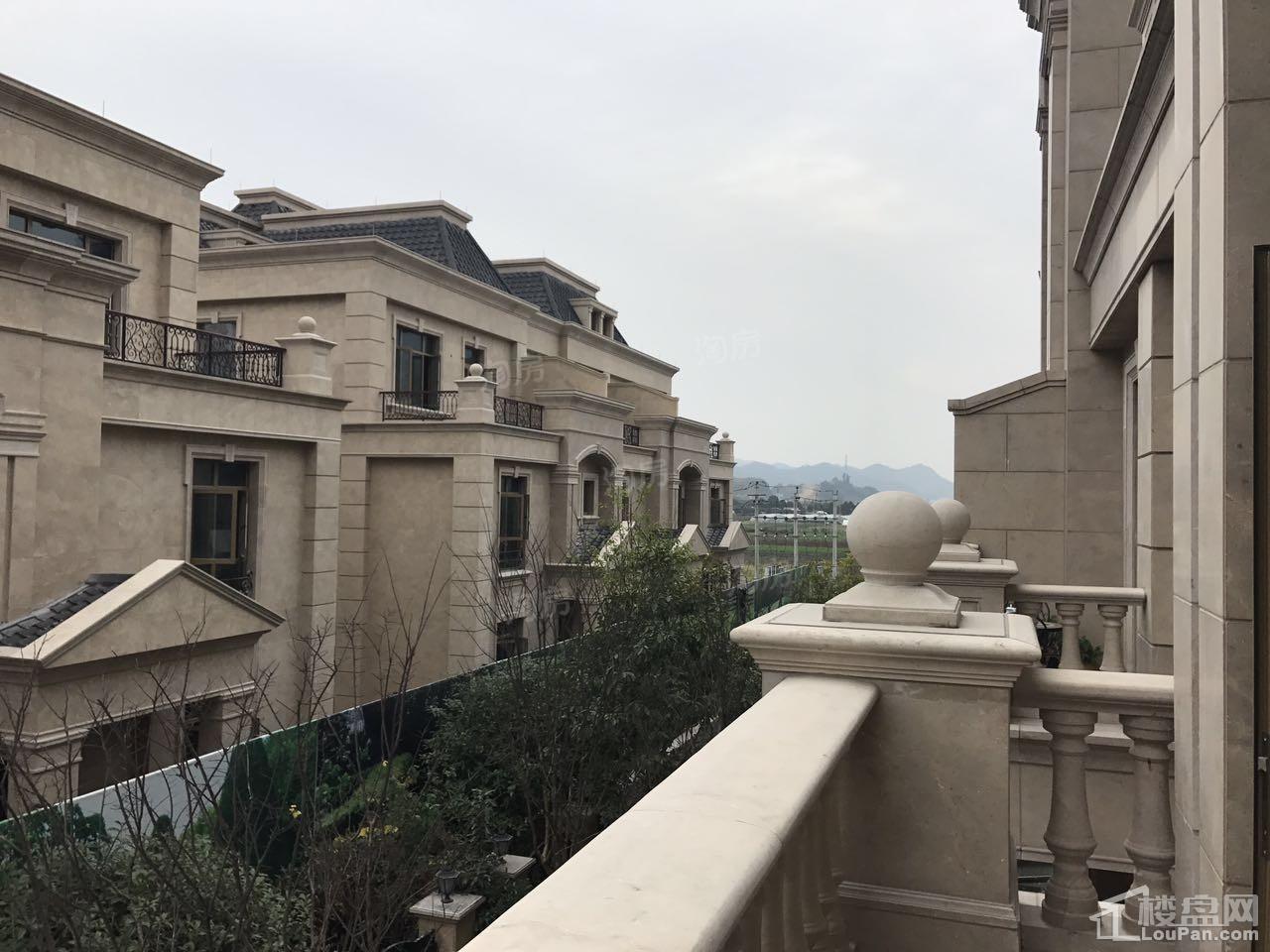 实景图