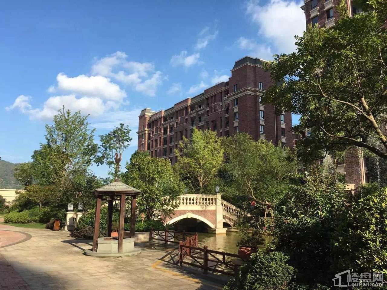 雁荡小镇效果图