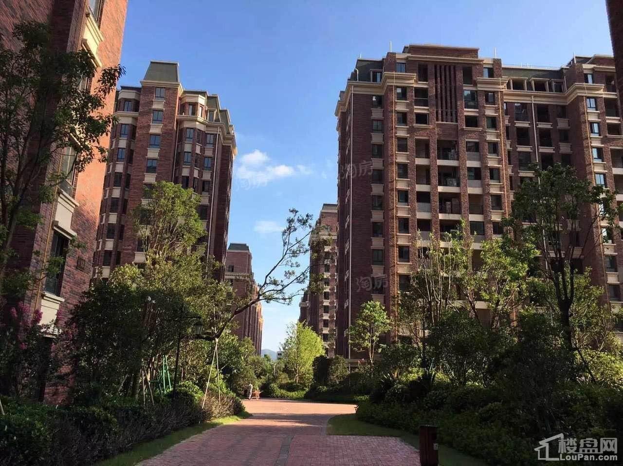雁荡小镇效果图