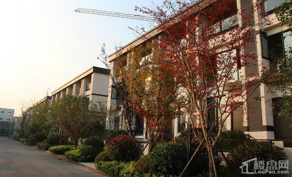 暖山金域城实景图