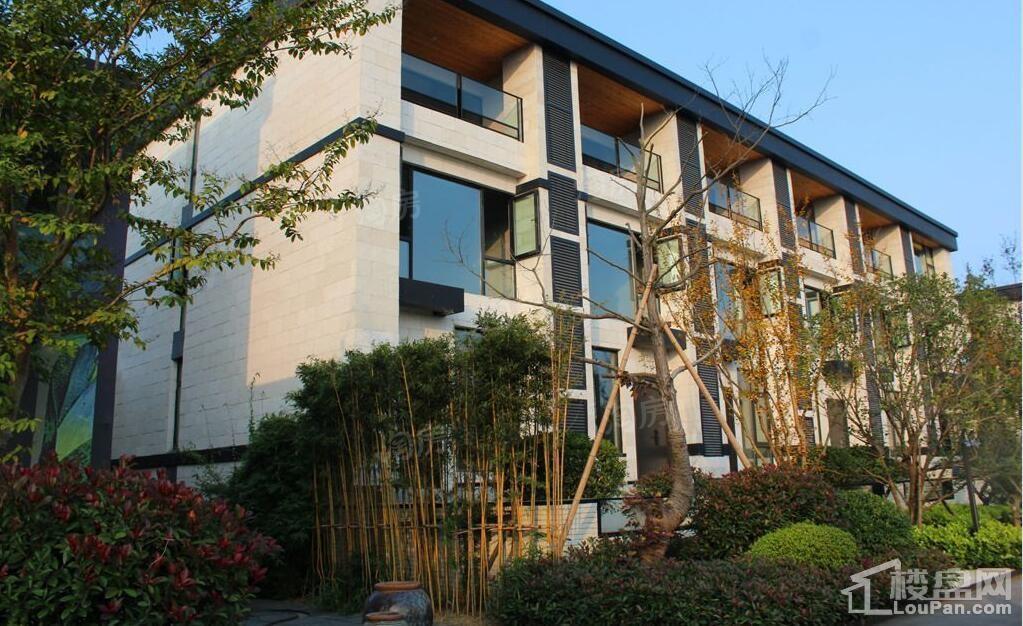 暖山金域城实景图
