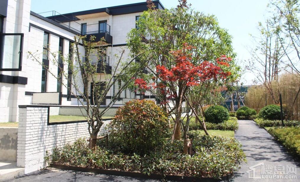 暖山金域城实景图