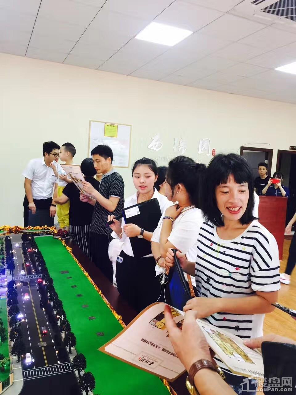 西锦园实景图
