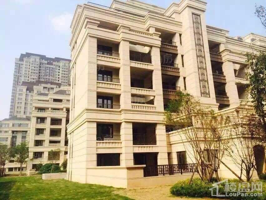 华润中央公园实景图
