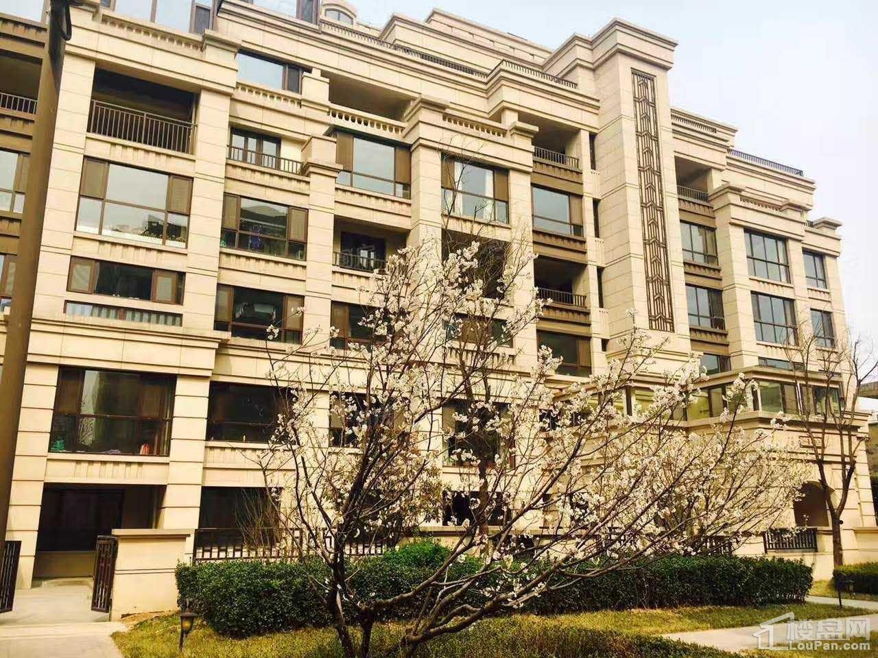 华润中央公园实景图
