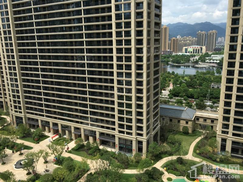 乐清·绿城玫瑰园实景图