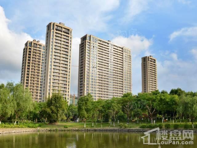 乐清·绿城玫瑰园实景图