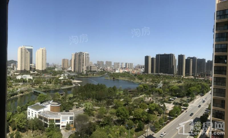 乐清·绿城玫瑰园实景图